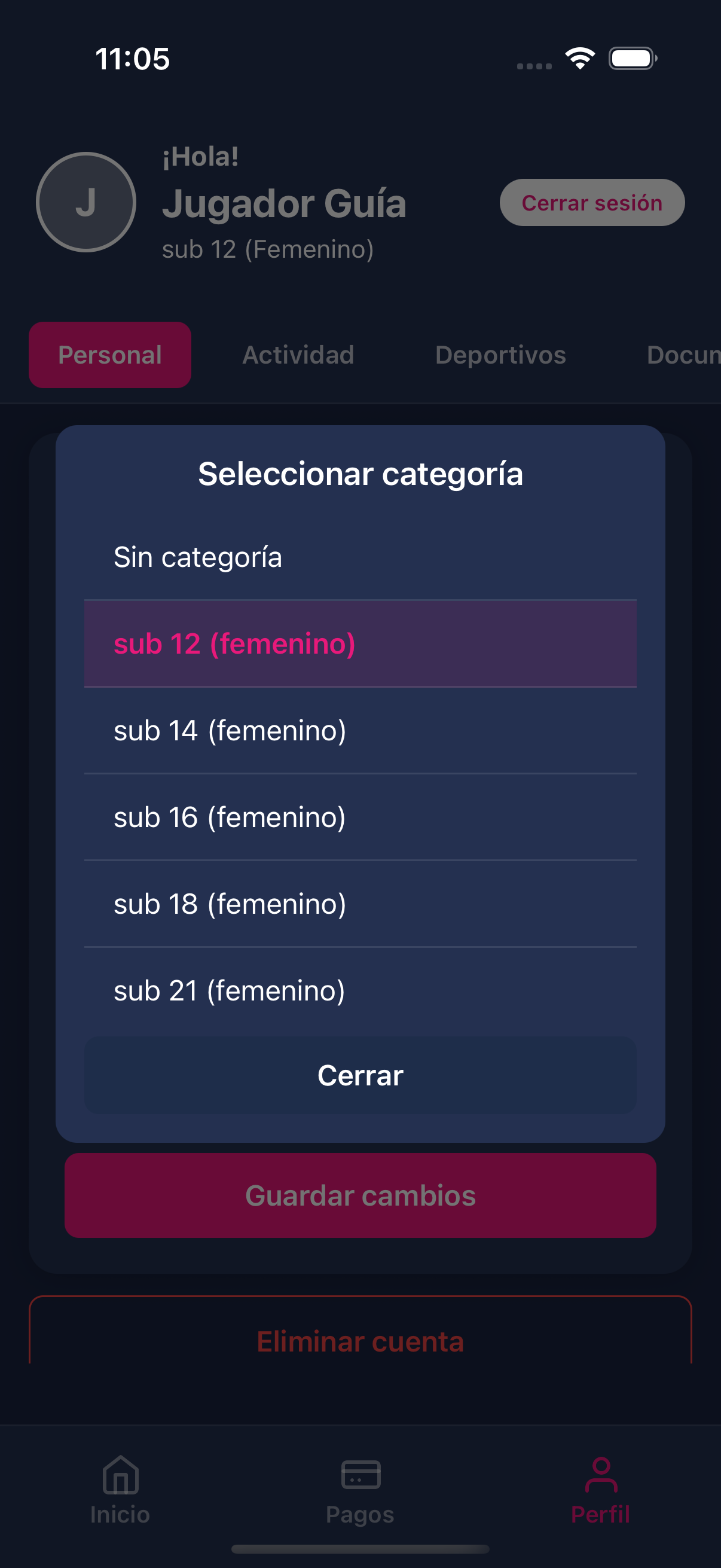 Selector de categoría