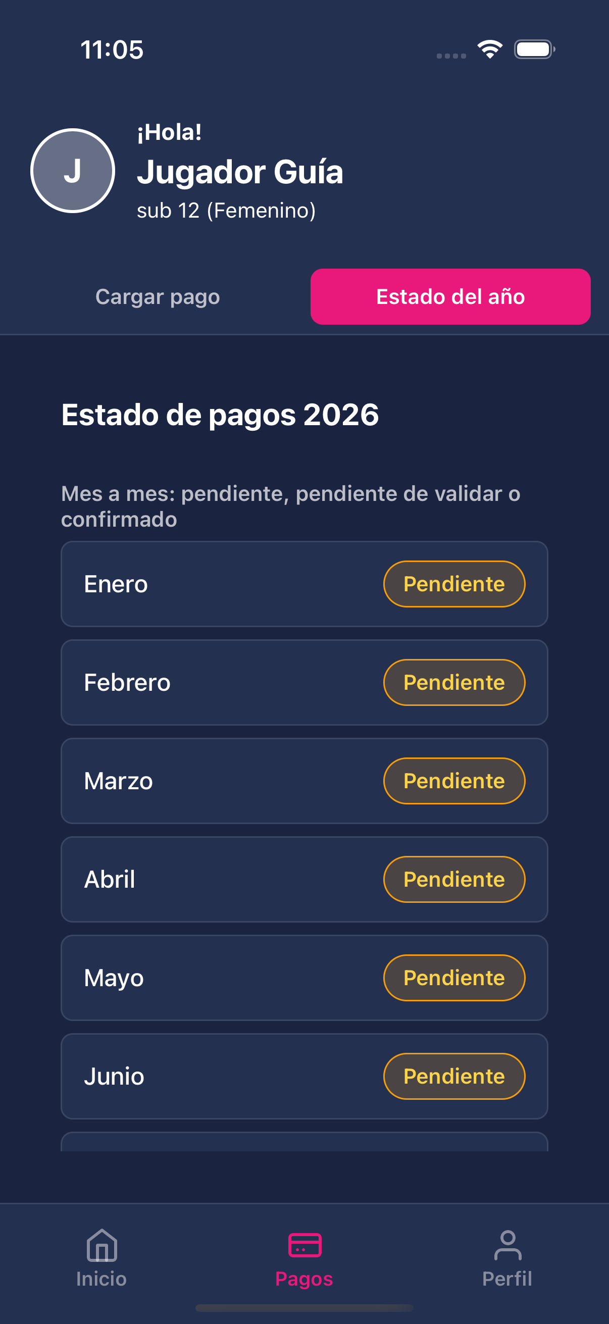 Estado de pagos